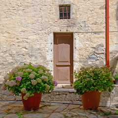 Fototapeta na wymiar mediterranean vintage house facade and flowerpots