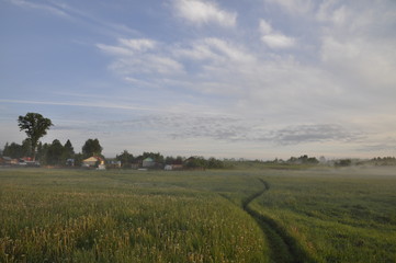 русло
