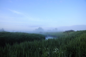 Fototapeta premium русло