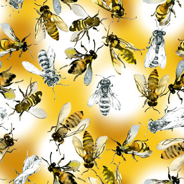 Honey, summer, country, wild bees. Watercolor. Illustration