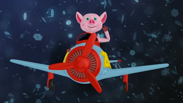 Piglet in airplane 2019