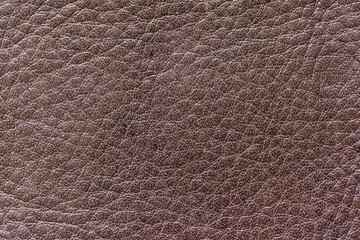 Leather texture background for fashion furniture interior exterior decoration concept design.