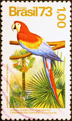Scarlet macaw on brazilian postage stamp