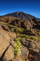 Teide