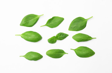 Fresh green basil leaves on white background, top view