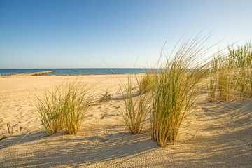 beach of the Baltic sea with beach grass and park bench in back light