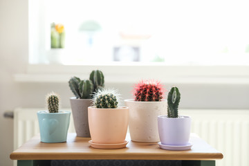 Fototapeta na wymiar Beautiful different cacti in pots on table