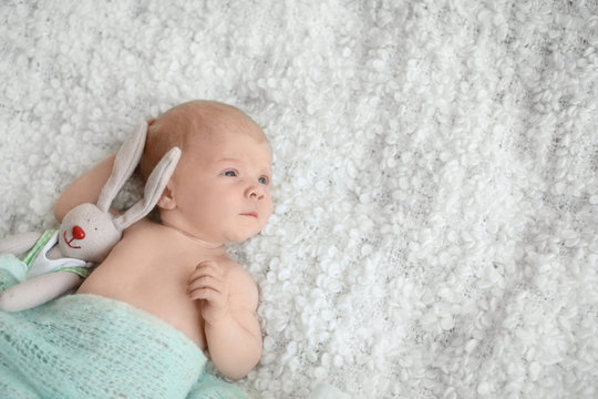Adorable newborn baby with toy bunny on bed, top view