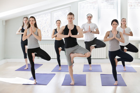 Group of young sporty people practicing yoga lesson, doing Vrksasana exercise, Tree pose, working out, indoor full length, yogi students training in sport club, studio. Wellness, healthy life concept