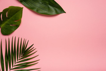 Fototapeta na wymiar Trendy summer tropical leaves on pink background. Bright summer color. Minimal style.