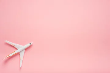 Poster Top view of an airplane on trendy pink background.  Bright summer color. Travel concept. © glazunoff