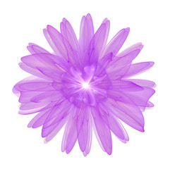 Obraz premium purple 3d flower isolated on white background
