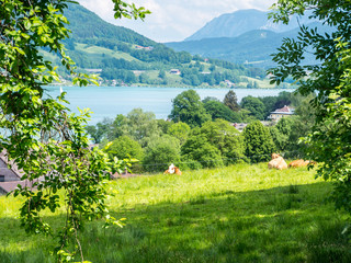 Ländliches Salzkammergut mit Mondsee