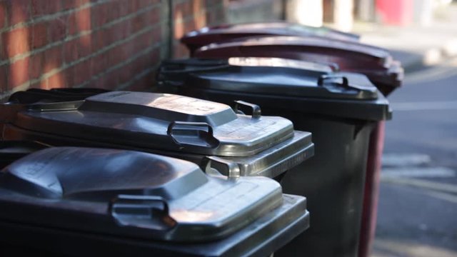 Rubbish disposal in England: wheely bin - lids close up
