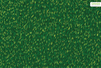Green nature lawn grass texture and pattern background. Vector illustration.