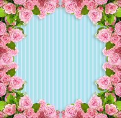 Pink roses frame on striped blue background