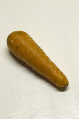 Carrot isolated on a White textured background with a dark shadow