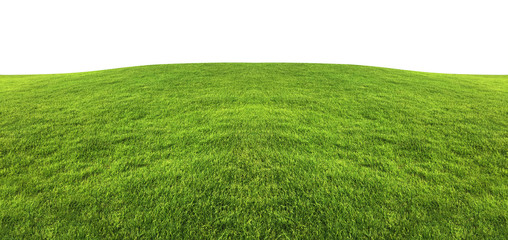 Fond de texture d& 39 herbe verte isolé sur fond blanc avec un tracé de détourage.