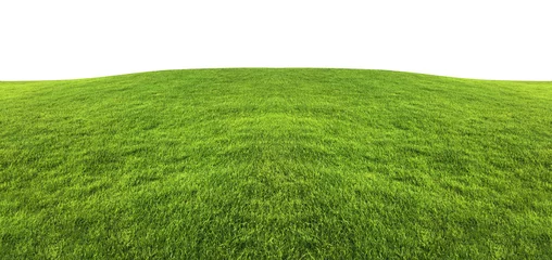 Tuinposter Groen gras textuur achtergrond geïsoleerd op een witte achtergrond met uitknippad. © Lifestyle Graphic