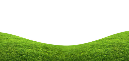 Fond de texture d& 39 herbe verte isolé sur fond blanc avec un tracé de détourage.