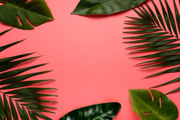 Trendy summer tropical leaves on pink background.  Bright summer color. Minimal style.