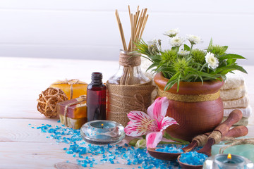 SPA accessories for massage in a composition on a light background