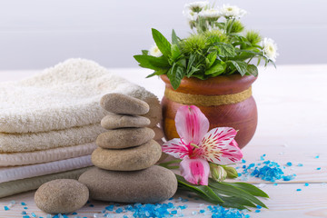 SPA accessories for massage in a composition on a light background