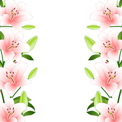 Pink Lily Border on White Background