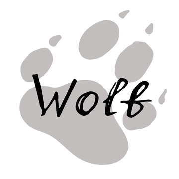 The paw print of a wolf. Grey trail of a wild beast. Lettering vector illustration. Calligraphy handwritten text.