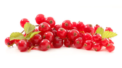 red currant on white background