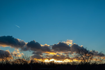 Sunset sky against a background of silhouettes of trees