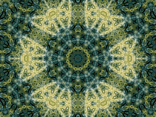 Colorful fractal flower or plant, digital artwork for creative g