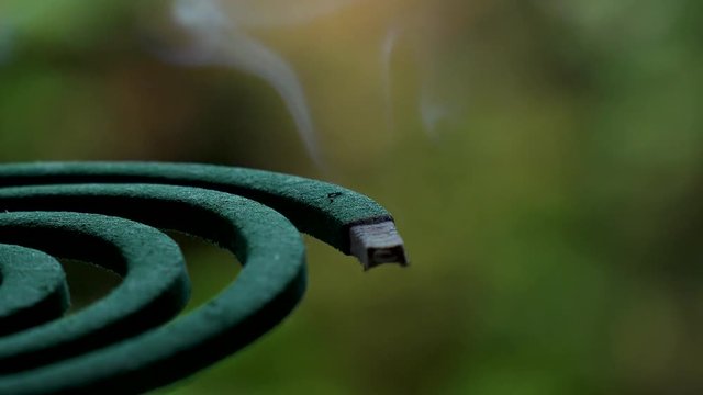 TOKYO,  JAPAN : Green MOSQUITO COIL in Japanese house in summer season.
