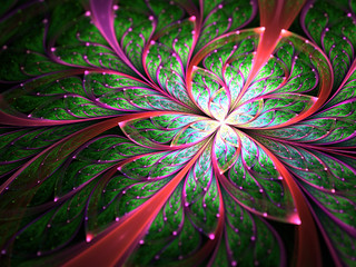 Red and green fractal flower, digital artwork for creative graphic design