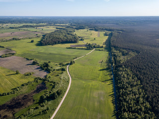 drone image. asphalt road surrounded by pine forest and fields from above