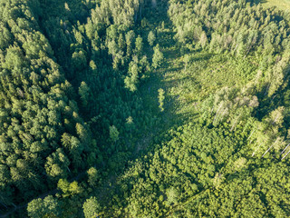 drone image. aerial view of rural area with fields and forests