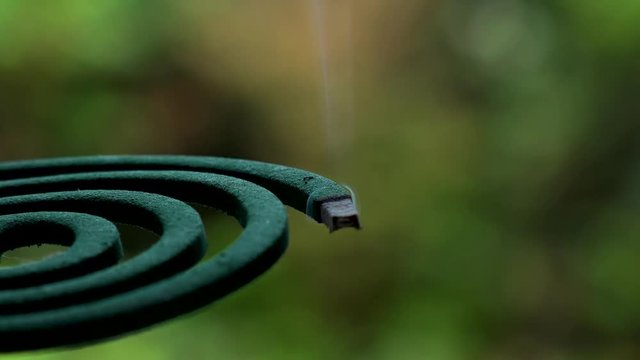 TOKYO,  JAPAN : Green MOSQUITO COIL in Japanese house in summer season.