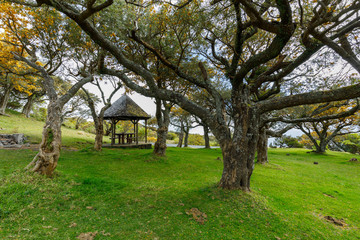 Gazebo in La Plaine des Cafres, Reunion Island