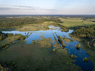 drone image. country lake surrounded by pine forest and fields from above