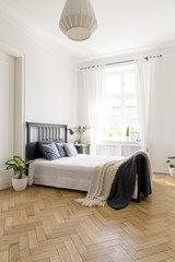 Plant next to bed with blanket and cushions in spacious bright bedroom interior. Real photo