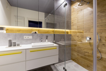Modern wooden bathroom interior