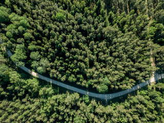 drone image. gravel road surrounded by pine forest from above