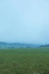 Fototapeta premium The prairie after the rain