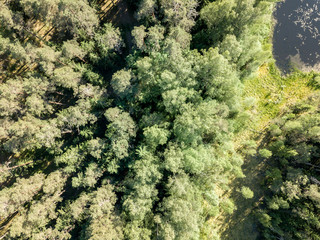 drone image. aerial view of rural area with fields and forests