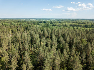 drone image. aerial view of rural area with fields and forests