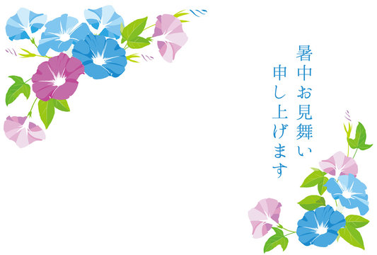 33 Best 朝顔柄 Images Stock Photos Vectors Adobe Stock
