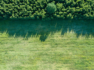 drone image. aerial view of empty cultivated fields
