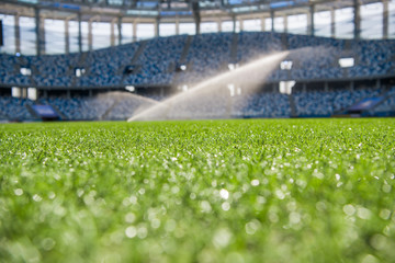 Watering the football field. Close-up macro shot on green grass with white stripe.