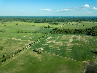 drone image. aerial view of empty cultivated fields