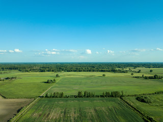 Fototapeta na wymiar drone image. aerial view of countryside road network, cultivated fields and forest textures